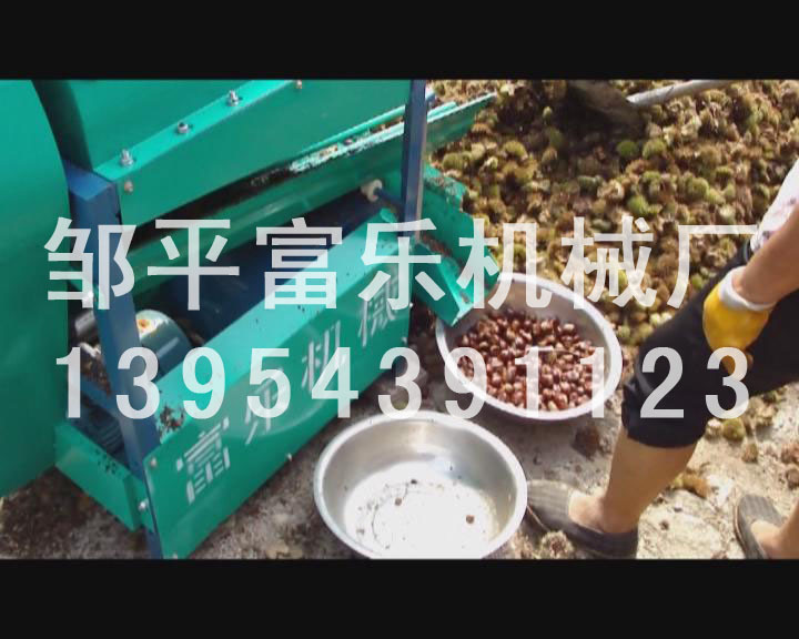 板栗脫殼機板栗脫蓬機2