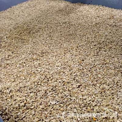 核桃仁物理去皮機 新疆琥珀核桃仁脫衣去皮設(shè)備直銷生產(chǎn)