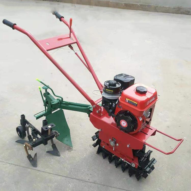 u=174945917,2809666395&fm=