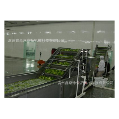 不銹鋼中央廚房蔬菜清洗線(xiàn)、潔凈菜氣泡清洗機(jī)