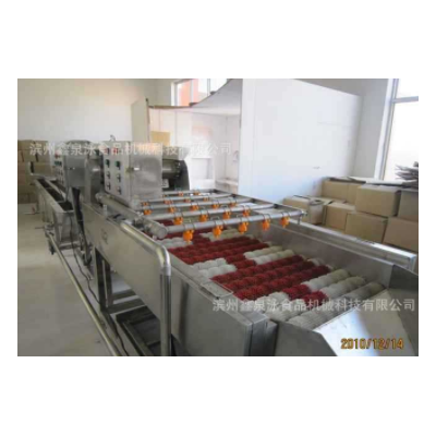 供應(yīng)不銹鋼紅棗清洗機(jī) 紅棗清洗生產(chǎn)線(xiàn) 廠價(jià)直銷(xiāo)紅棗選果機(jī)