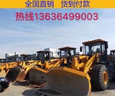 上海現(xiàn)場真品鏟車裝載機(jī)30/50裝載機(jī)，供應(yīng)龍工臨工柳工