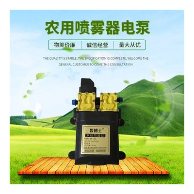 農(nóng)用打藥隔膜泵 12V智能高壓大功率雙泵 電動(dòng)噴霧器水泵 架子泵