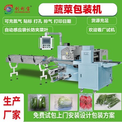 蔬菜包裝機(jī)往復(fù)式枕式全自動(dòng)真空包裝機(jī)肉類果蔬食品包裝機(jī)械設(shè)備