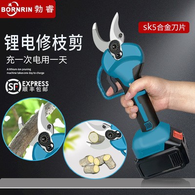 勃睿修枝剪電動樹枝剪園藝剪無線便攜果樹剪鋰電池充電式園林剪刀