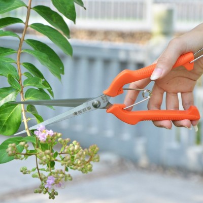 園林修枝剪佐川田剪加長采果剪 245mm黑枸杞花椒花摘果剪剪刀園藝