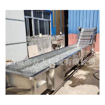 壽光全自動蔬菜清洗機 氣泡沖浪洗菜機 果蔬沖洗線 新鮮果蔬