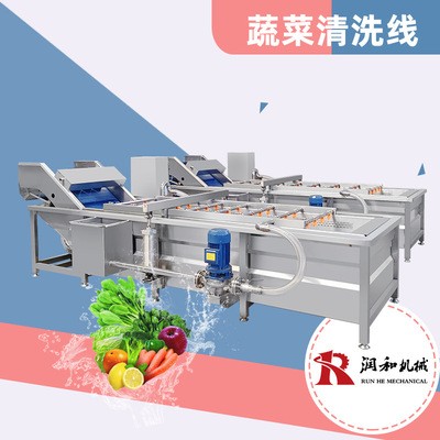 蔬菜清洗機(jī) 氣泡式芹菜去泥清洗線 全不銹鋼自動(dòng)果蔬清洗機(jī)