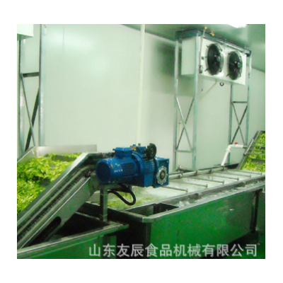 草菇蘑菇清洗機(jī) 油菜西藍(lán)花渦流清洗機(jī) 茄子凈菜深加工清洗加工廠