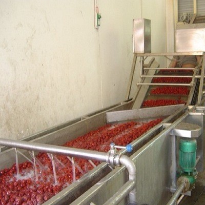 香菇菌類清洗機(jī) 凈菜蔬菜清洗加工生產(chǎn)線廠家 雜糧清洗設(shè)備生產(chǎn)線