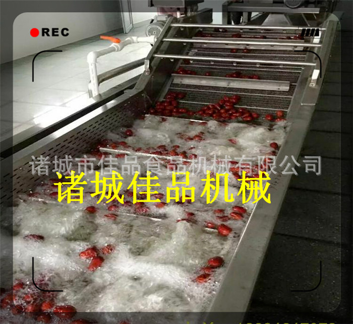 大棗清洗線
