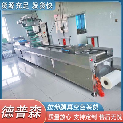 豬肉脯果干包裝機(jī) 全自動拉伸膜式包裝設(shè)備 漢堡餅拉伸膜真空機(jī)