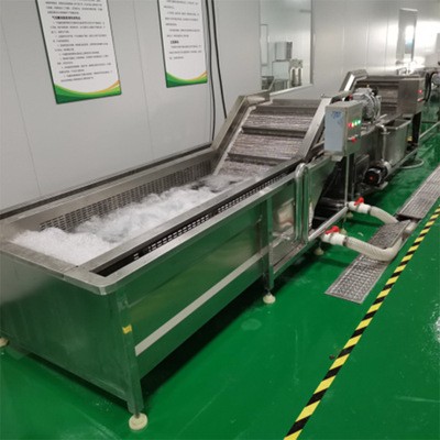 中央廚房清洗線 全自動果蔬清洗機(jī) 氣泡清洗機(jī) 果蔬清洗一體機(jī)