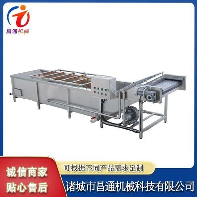 山竹氣泡果蔬清洗機(jī) 多功能蔬菜氣泡清洗機(jī) 全自動(dòng)高壓噴淋洗菜機(jī)