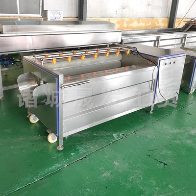 高壓噴淋蔬菜毛輥清洗機廠家 菠菜全自動清洗機 中央廚房洗菜機