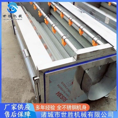 供應(yīng)黨參毛輥清洗機 不銹鋼毛刷清洗機 蓮藕去皮清洗機設(shè)備