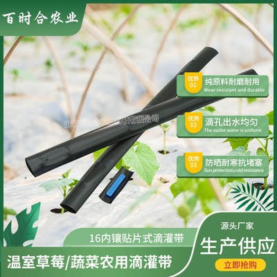 貼片式滴灌帶 廠家供應(yīng)大棚農(nóng)田蔬菜果樹(shù)用灌溉內(nèi)鑲貼片式滴水帶
