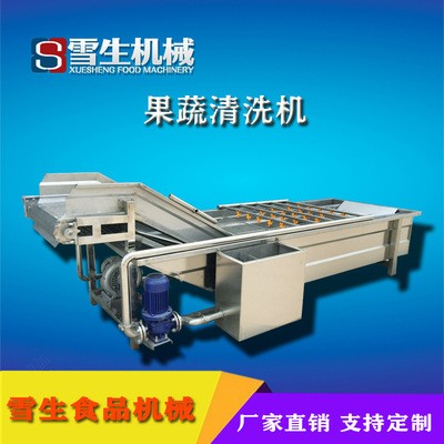 大型清洗蔬菜氣泡清洗機(jī) 定制型號不銹鋼連續(xù)果蔬氣泡清洗機(jī) 熱銷