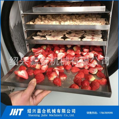 食品水果凍干機 果蔬真空凍干干燥設備 海鮮銀耳羹真空冷凍實驗型