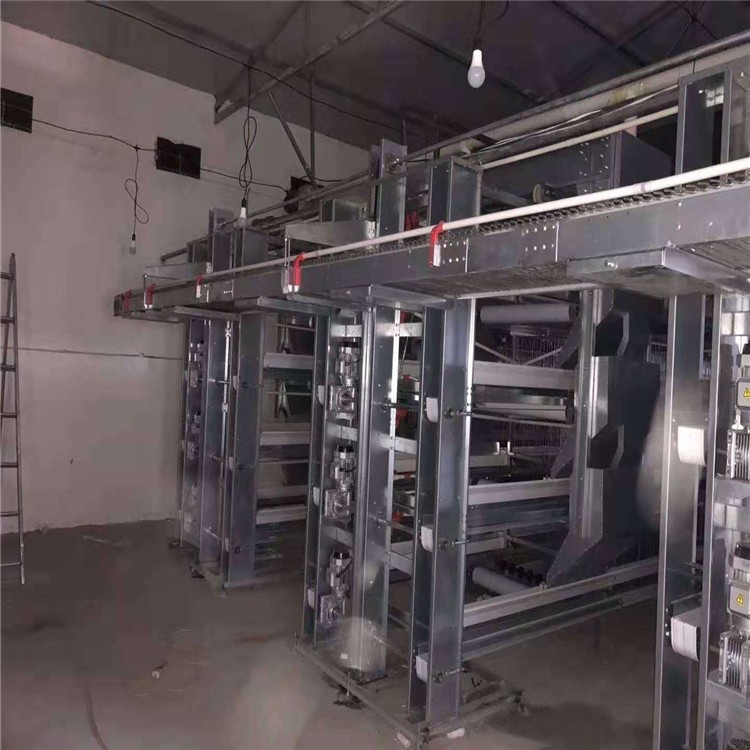 層疊蛋雞籠深受養殖戶喜愛操作方便好管理讓養殖更輕松