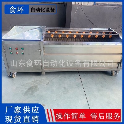 根莖類毛輥土豆去皮清洗機 全自動商用土豆清洗去泥機毛刷清洗機