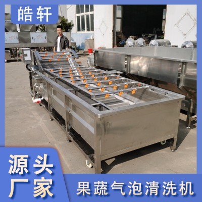全自動(dòng)果蔬蔬菜清洗機(jī) 氣泡式噴淋豆角蘿卜清洗機(jī) 洗菜機(jī)設(shè)備