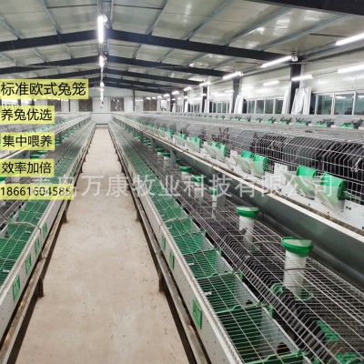 養兔子的設備兔籠 兔舍歐式雙層籠具繁育一體籠