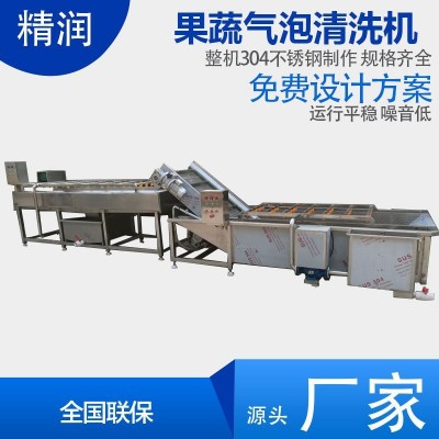 精潤水果分級清洗機 杏子桃子清洗機 農業(yè)項目設備