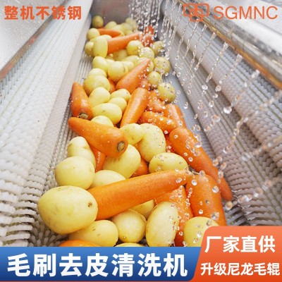毛輥清洗去皮機大型土豆蘿卜紅薯生姜芋頭清洗機天麻馬蹄生蠔商用