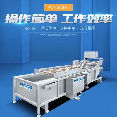 大型蔬菜清洗機 多功能全自動氣泡清洗機 噴淋式果蔬加 工設備