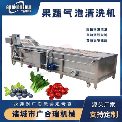 果蔬氣泡清洗機 大姜白菜毛豆蔬菜高壓噴淋清洗設備 全自動洗菜機