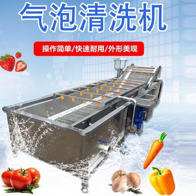 水果蔬菜氣泡清洗機(jī)全自動(dòng)果蔬清洗機(jī) 噴淋式玉米秋葵氣泡清洗機(jī)