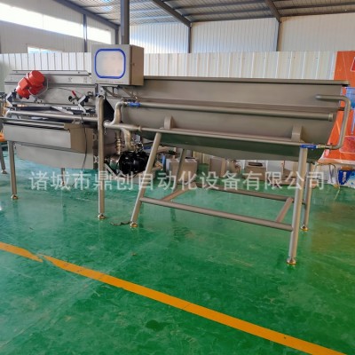 豆芽菜渦流清洗設備 中央廚房凈菜設備 半成品果蔬全自動洗菜機