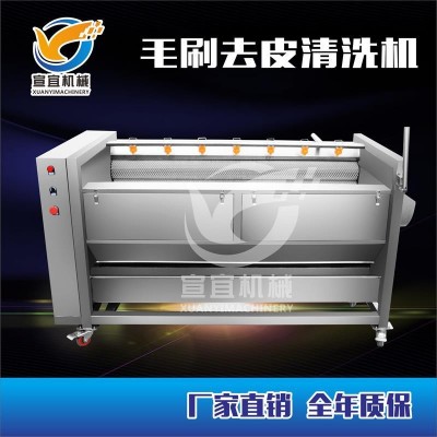 廠家銷售紅薯土豆清洗去皮機 蓮藕胡蘿卜大姜毛刷棍清洗機