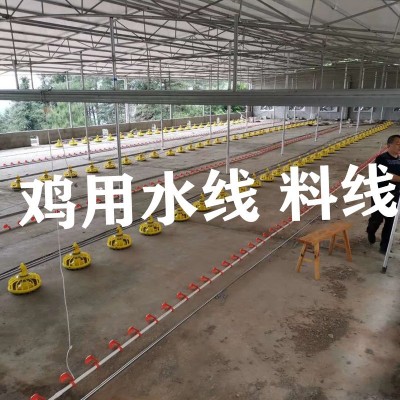 雞用自動水線 肉雞料線 散養雞自動水線 料線 雞用水線 雞用料線
