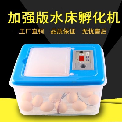 伊科貝特水床孵化機(jī)升級(jí)版 32枚PP料家用小型孵化器雞鴨鵝孵化箱