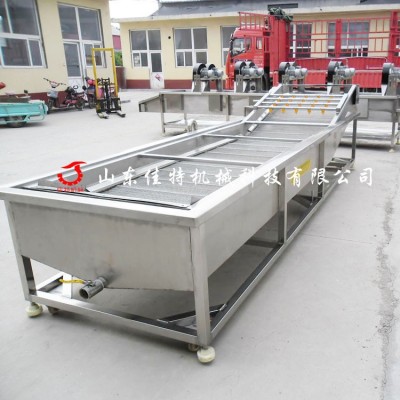 源頭廠家果蔬清洗機設備 無花果清洗機 全自動水果氣泡噴淋洗菜機