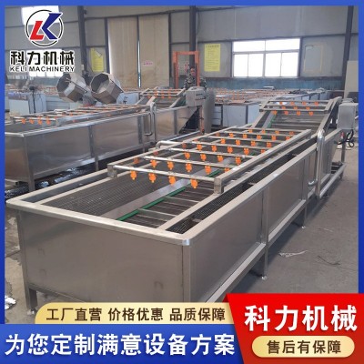 氣泡清洗機(jī)自動洗魚機(jī) 魚類自動清洗設(shè)備 不銹鋼氣泡清洗線