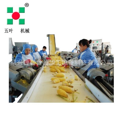 玉米粒加工生產(chǎn)線 鮮玉米扒皮脫粒漂燙速凍線 玉米粒流態(tài)速凍機g