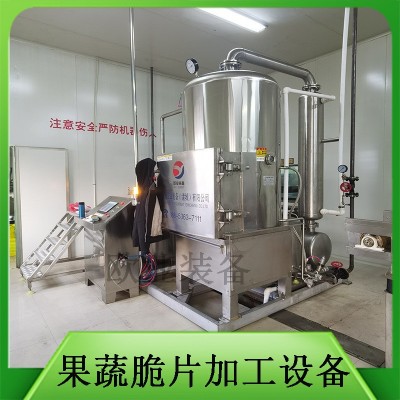 新型休閑食品加工設備 農村致富創(chuàng)業(yè)項目 蔬菜干脫水果蔬脆片加工