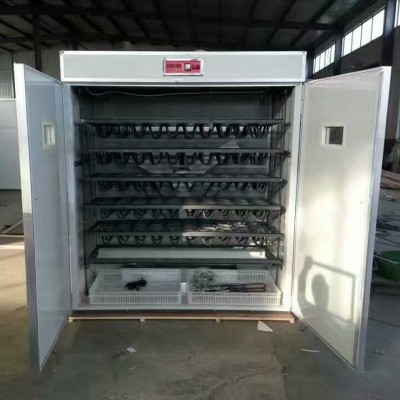 現(xiàn)貨批發(fā)大型全自動(dòng)孵化機(jī)孵化箱 鴕鳥(niǎo)孔雀孵化機(jī)養(yǎng)殖孵蛋器