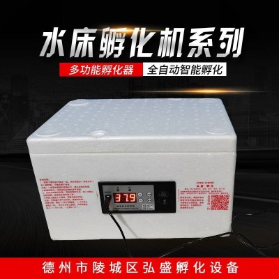 全自動仿生水床孵化機 家用小型多功能雞鴨鵝鴿子孔雀水床孵化箱