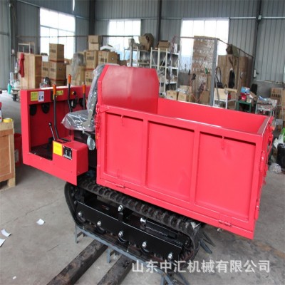 全地形液壓運(yùn)輸車 液壓馬達(dá)履帶底盤(pán)行走 現(xiàn)貨水旱兩用運(yùn)輸車