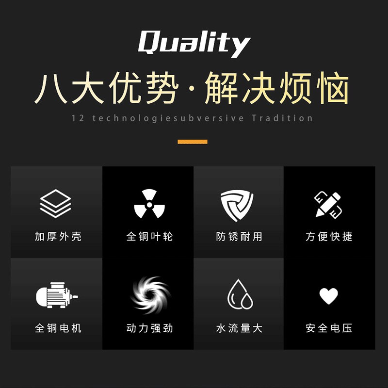 電動車戶外農(nóng)用澆灌菜水井抽水泵12V24V48V大流量直流自吸泵