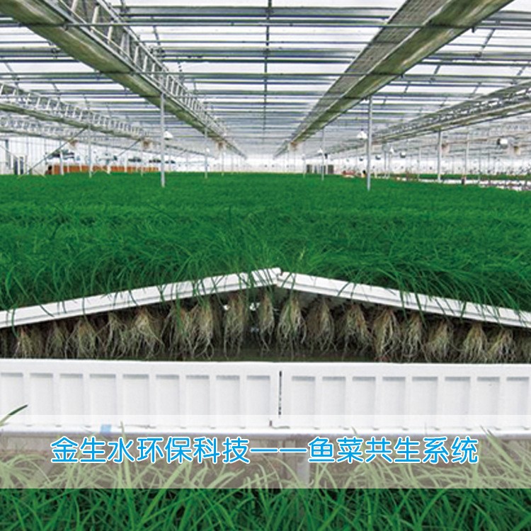 循環(huán)水養(yǎng)殖系統(tǒng) 魚類育苗養(yǎng)殖系統(tǒng) 魚菜共生系統(tǒng)