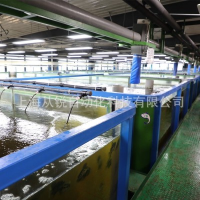 從銳新設計小型室內垂釣蝦循環水恒溫增氧水處理在線管理系統設備