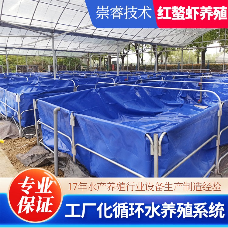 江蘇項目澳洲淡水龍蝦工廠化高密度水產養殖循環水系統