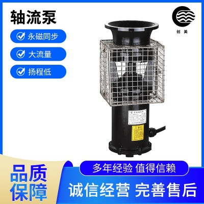 現貨銷售抗洪排澇軸流泵循環泵移動抽水排污便攜式防汛泵防汛水泵