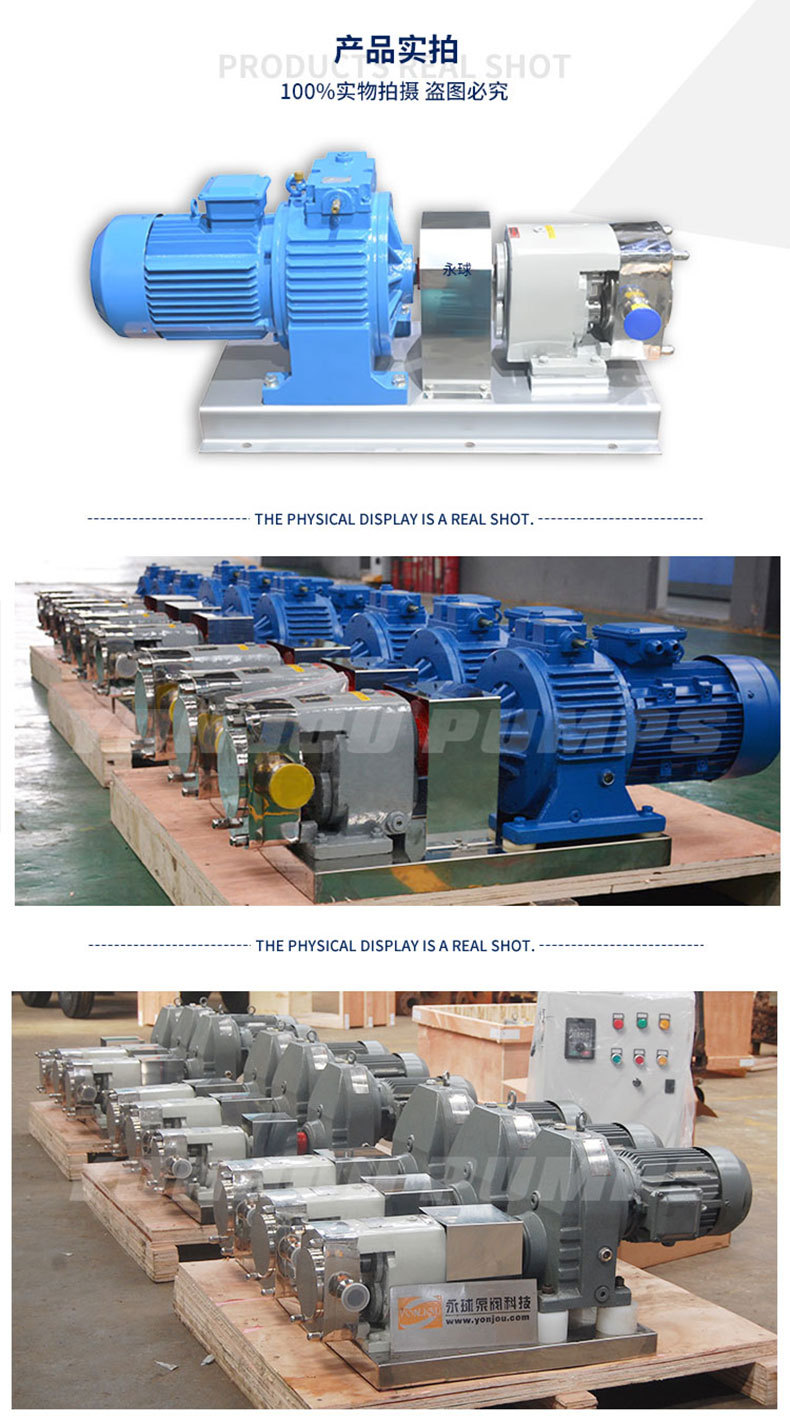 LQ3A轉(zhuǎn)子泵-實物拍攝