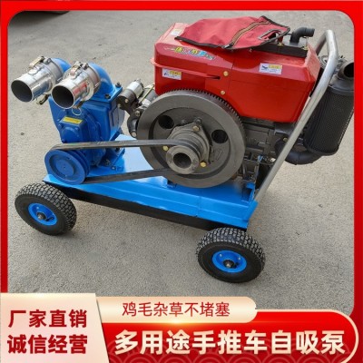 電動吸糞泵批發 齒輪抽糞泵 養殖場大功率抽糞吸糞泵 手推吸糞泵